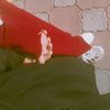 shishtawy43
