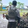 pandupane3