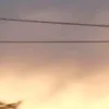 neli.asenova6