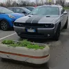 wolfdark27