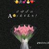 asya08425