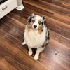 soph.a.loaf26