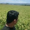 ramin723