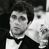 saif_23145