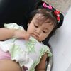 pengenjadipampir