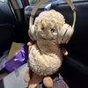 nuggies_main_account