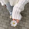 lyly57554