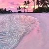 hanan.alhadad1