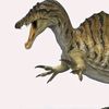 dozer_r_r