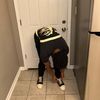 dsavvspanksumm317