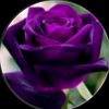 user597912332