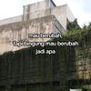taubaeng_15