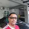 musangkingputih