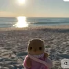 sophia_crechee