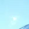 delfuu007