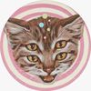 mapache_alien_2.0