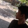 pp_andi_cobra2