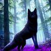 wolvesk5