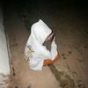 user31281024814684