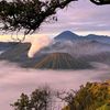 kenzo_botak7