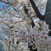 user1220720062517
