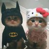 giskaa__ajadee