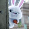 rabbitsarebest