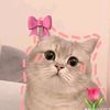 smey68655