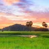 Trạm Chữa Lành