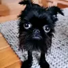 yupmytical
