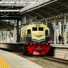 alfa.riski547