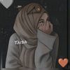 taibagg1