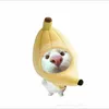 comcawc