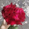 little.queen52425