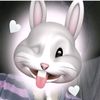 zin.myo.khaing79