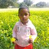 puja.roy534