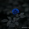 .meraj1290