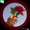 shaihd675
