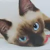miko26792