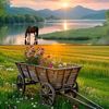 adina.ghia