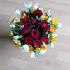 claudiabttcher55