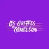 les.griffes.de.cameleon