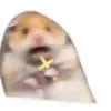 quanmvpgm