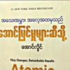htet.aung3249