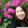 thingquang675