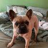 raynieread