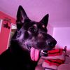 enjoielement47