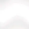 nnnzz97