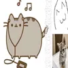 emoji.cat254