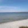 janmartykn7